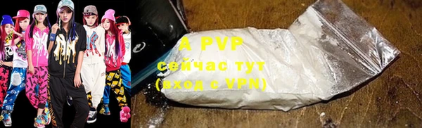 амф Магас