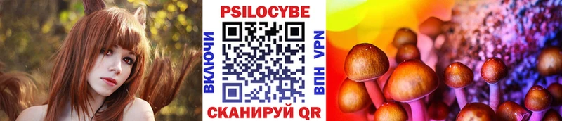 Галлюциногенные грибы GOLDEN TEACHER  купить   Реж 