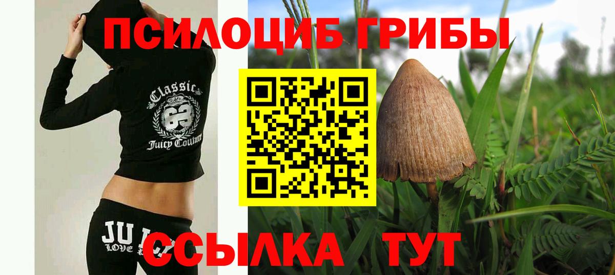 Галлюциногенные грибы Cubensis  Вход с VPN  Реж 